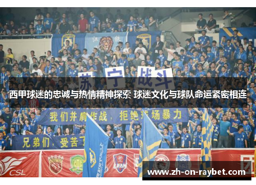 西甲球迷的忠诚与热情精神探索 球迷文化与球队命运紧密相连