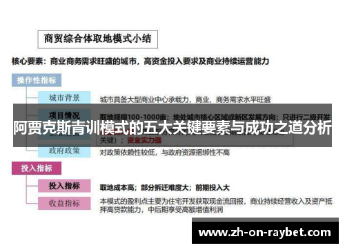 阿贾克斯青训模式的五大关键要素与成功之道分析 阿贾克斯青训模式的五大关键要素与成功之道分析