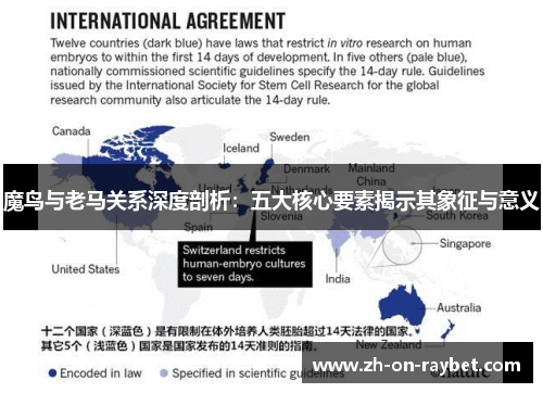 魔鸟与老马关系深度剖析：五大核心要素揭示其象征与意义