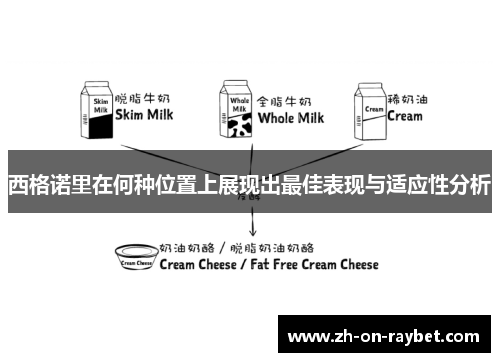 西格诺里在何种位置上展现出最佳表现与适应性分析